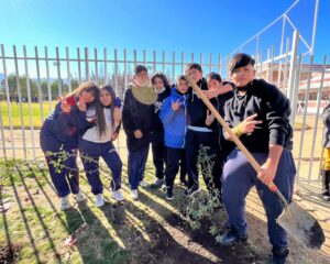 Estudiantes del Liceo Mixto Enseñanza Básica de San Felipe plantaron árboles en el colegio